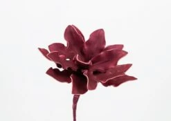 6 Fleurs Cumbia Bordeaux 54cm