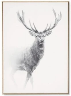 Tableau Cadre Cerf Debout (3 Tailles)