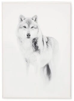 Tableau Cadre Loup (3 Tailles)