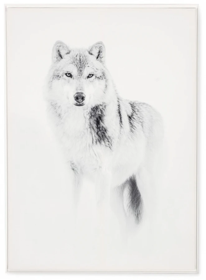 Tableau Cadre Loup (3 Tailles)