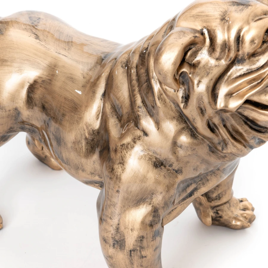 Bulldog USA Patine Dorée (Outdoor) – Image 2