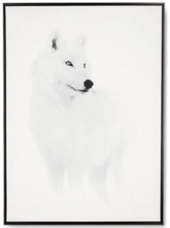 Tableau Cadre Loup Blanc (3 Tailles)
