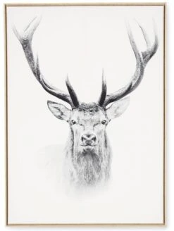 Tableau Cadre Tête De Cerf (3 Tailles)